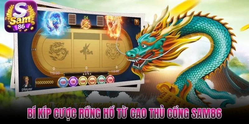 Bí kíp cược Rồng Hổ từ cao thủ cổng SAM86 Bí kíp cược Rồng Hổ từ cao thủ cổng SAM86