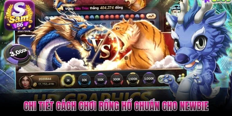 Chi tiết cách chơi Rồng Hổ chuẩn cho newbie Chi tiết cách chơi Rồng Hổ chuẩn cho newbie