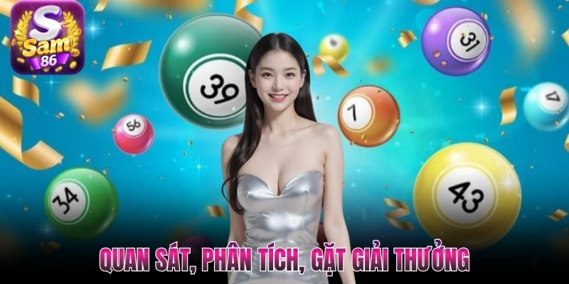 Quan sát, phân tích, gặt giải thưởng