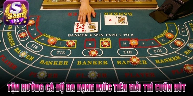 Tận hưởng cá độ đa dạng mức tiền giải trí cuốn hút