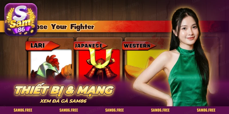 Thiết bị và mạng cần có để xem đá gà, màn chọn chiến kê trong game