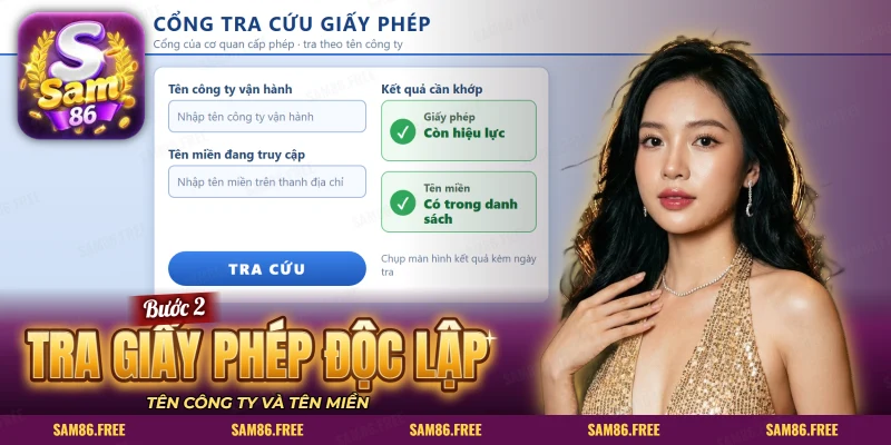 Màn tra cứu với hai ô nhập và hai kết quả có dấu tích xanh