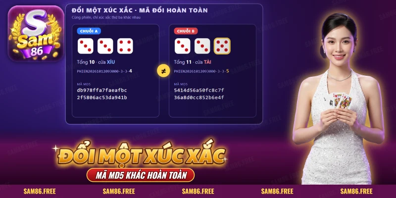 Hai chuỗi kết quả cạnh nhau, xúc xắc thứ ba khác, mã MD5 khác